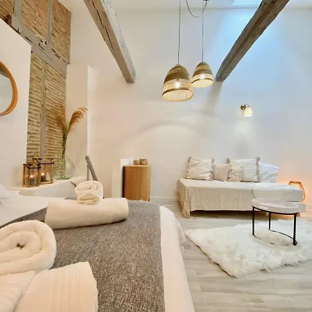 La Parenthese Occitane Apartment Castres (Tarn)