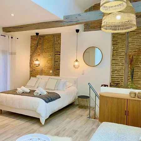 La Parenthese Occitane Apartment Castres (Tarn)