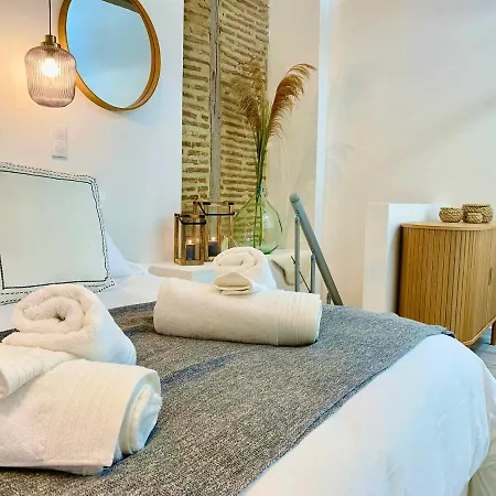 La Parenthese Occitane Apartment Castres (Tarn)